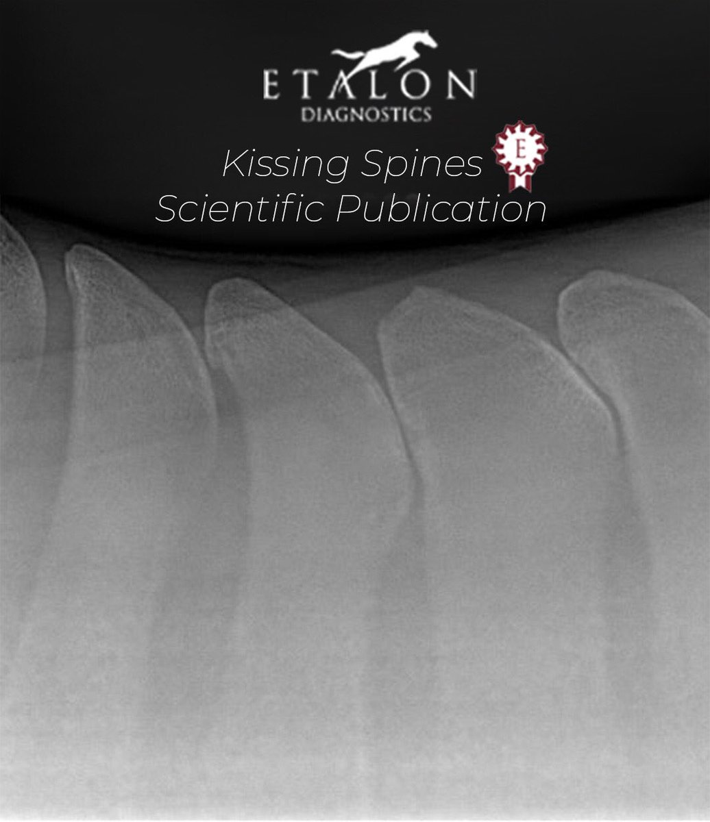 We’ve done it! Our Kissing Spines publication has been peer reviewed, approved, and published. This journey will continue as we think about Phase II, but Phase I has been integral in drawing correlations between genetics and KS severity/grade. #EtalonDx #ShowOffYourGenes