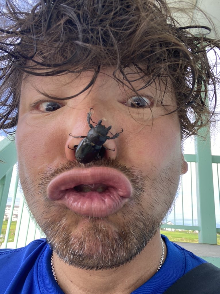 KozoOkubo's tweet image. 夏の朝

廊下にミヤマ

鼻の上

#メスでした