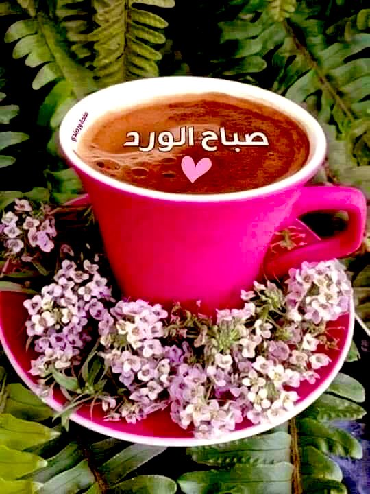 azzooozah's tweet photo. خروج للإستجمام والراحة
وإلى أن نلتقي .. 
اسأل الله للجميع العافية ..!

#عز #عز_لؤلؤة_سادة_الحرف
#سادة_الحرف https://t.co/JqEmeBDT0v