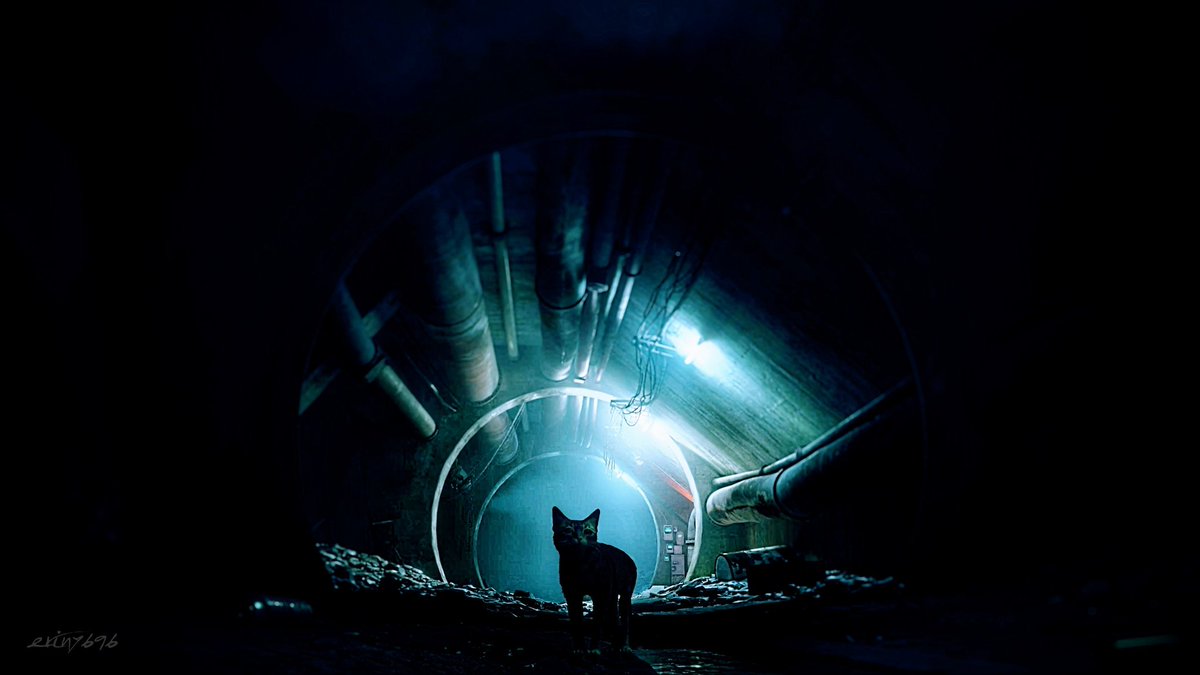 #stray <a href="/Blue12Studio/">BlueTwelveStudio</a> #PS5 #TheCapturedCollective #VGPUnite #VGPNetwork #VPGamers #ThePhotoMode #ArtisticofSociety #GamerGram #VirtualPhotography #WorldofVP #VPEclipse #VPCONTEXT #ZarnGaming #PhotoDenUC 
This game desperately needs a photo mode! :)