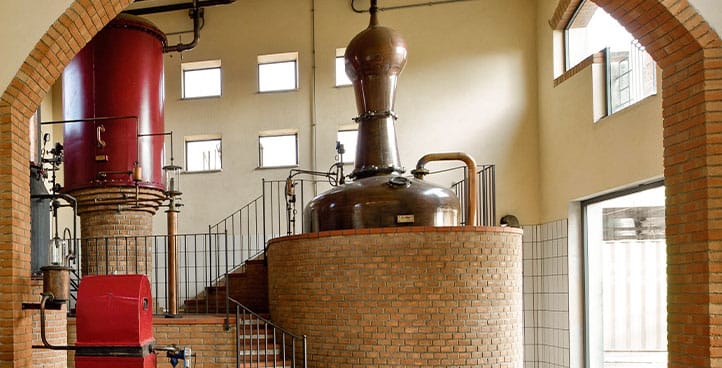 FlaiFrLt's tweet photo. Rinnovo #RSU #distillerie #bonollo di Anagni, la #FlaiCgil elegge tre delegati su tre. Risultato straordinario che premia il buon lavoro di questi anni delle delegate e dei delegati della Flai CGIL. Le congratulazioni della Segreteria e i migliori auguri di buon lavoro. https://t.co/uSTK3nba5B