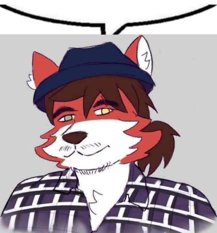 Foxxo❄️★ tweet media