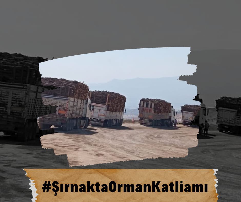 #SırnaktaOrmanKatliamı 
YAPANLARIN İKİ YAKASI BİR ARAYA GELMESİN ÇOCUKLARINDAN ÇIKSIN GÜN YÜZÜ GÖRMESİNLER