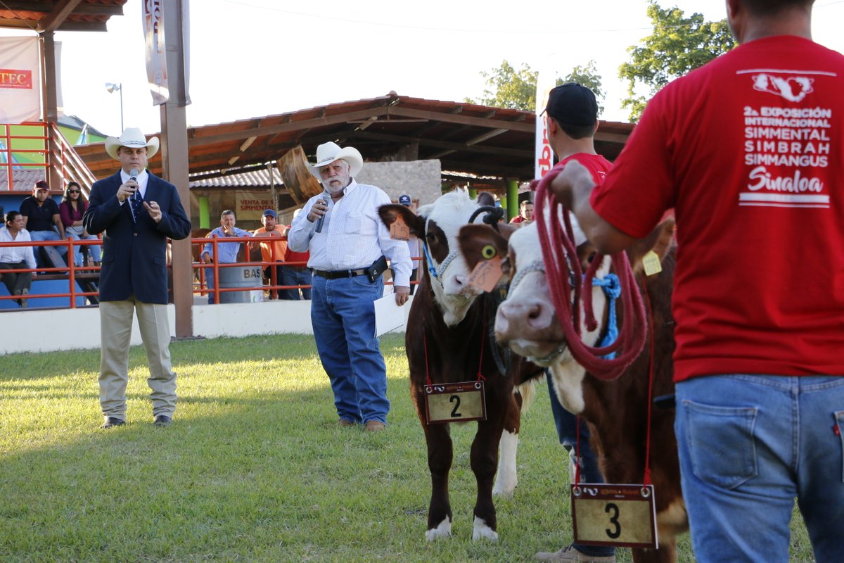 SimmentalSbMX's tweet photo. #TBT 2⃣0⃣1⃣8⃣
Les compartimos fotos de la #HistoriaSimmental durante la 2a. Exposición Internacional Sinaloa 2018.
En la Calificación #Simmental la hembra Campeona de la Raza fue 11/3 de Agrícola El Cayo y el Campeón GVR E105 de Rancho La Reforma. El juez fue PJ Budler. https://t.co/tnfMSZHQ1i