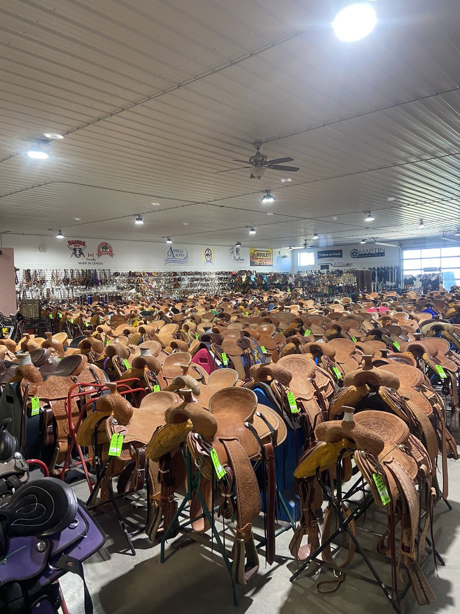 Just a crazy amount of saddles….. everything is bigger in Alberta !!!!!
