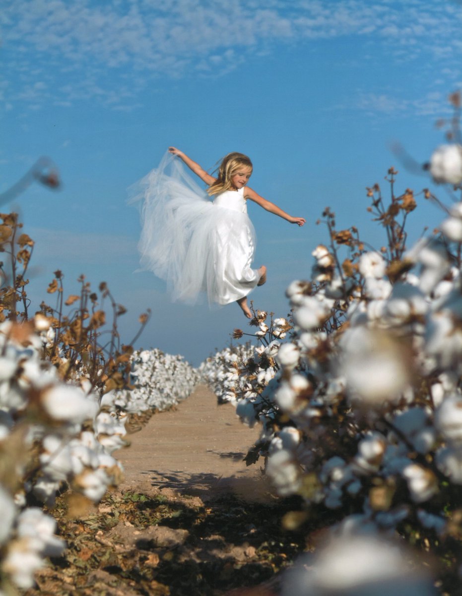 Flower girl, or cotton fairy?! Either way, it’s a WINNING picture🏆📸! Congrats to the Eggemeyer family – winners of the 2023 Cotton Variety Catalog photo contest with this shot of their daughter from a wedding on their farm in Midkiff, TX. #FiberMax #Stoneville