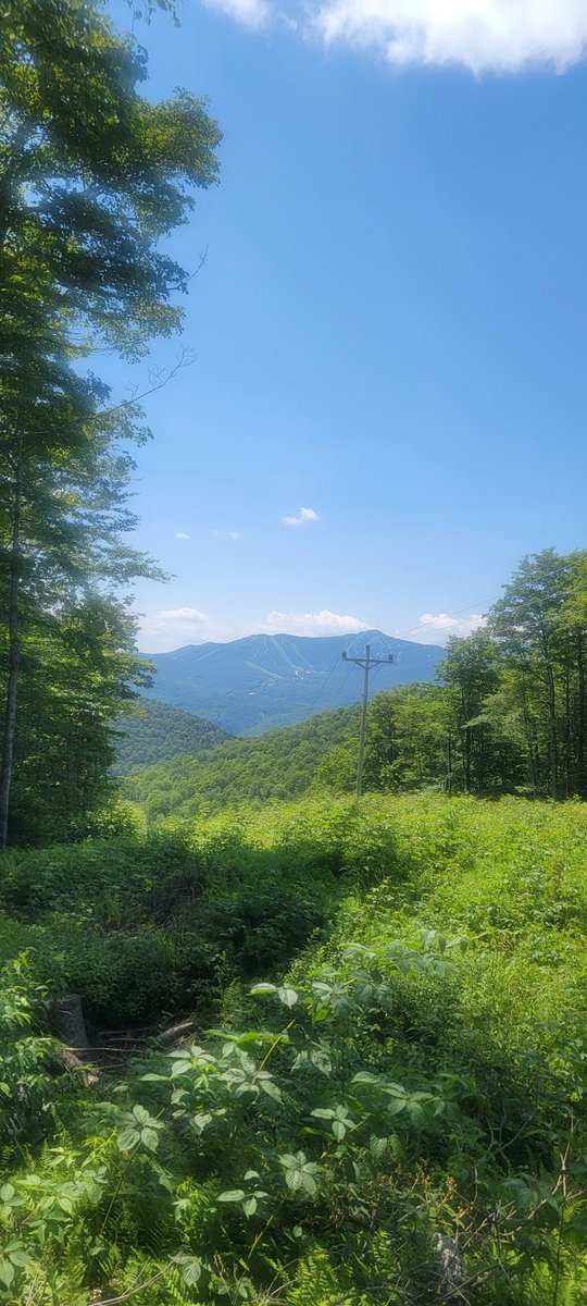 LiamHikes's tweet photo. Goodbye, Vermont. Thanks for the sunny days. Headed into New Hampshire, home of the White Mountains - and the World's Worst Weather (looking at you, Mount Washington). Here we go! https://t.co/4a7Kidw1UT
