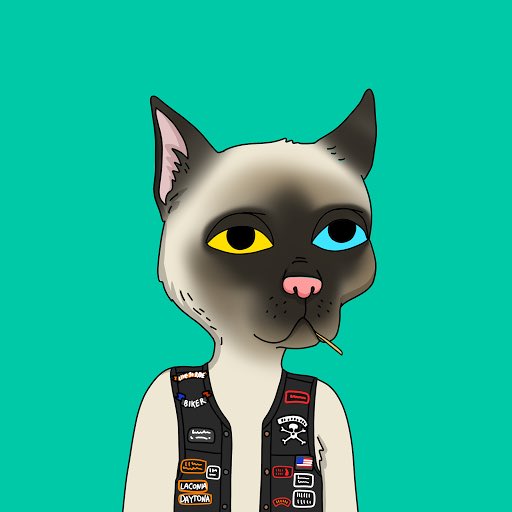 RoiiDzz's tweet photo. I CAME, I SAW, I CONQUERED🫡

Among the elites🔥🚨

@GutterCatGang https://t.co/GesS8YDruX