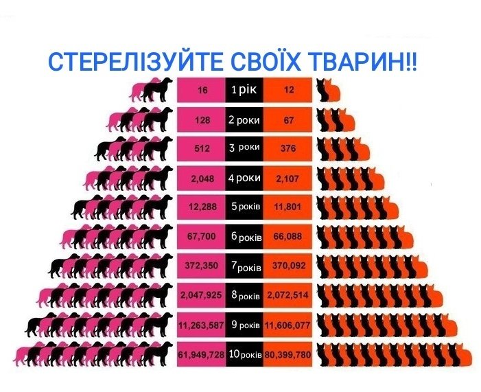 ТРЕД
‼️ЧОМУ ПОТРІБНО СТЕРЕЛІЗУВАТИ ТВАРИН‼️
максимальний РТ, так як на цій війні, та й загалом від життя, страждають НЕ тільки люди!!!!!