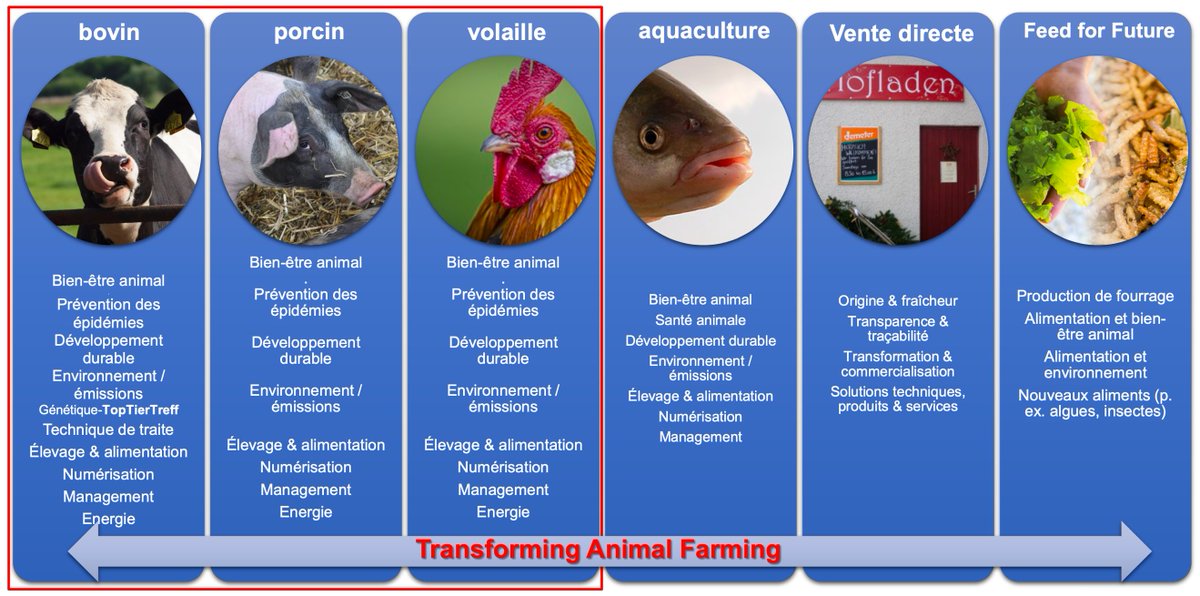 #EuroTier22 : le salon leader mondial de la branche de l’élevage professionnel 

Mettra la France à l’honneur avec un pavillon dédié et s’articulera autour du thème : «Transforming animal farming» 

eurotier.com/en/home/press/…