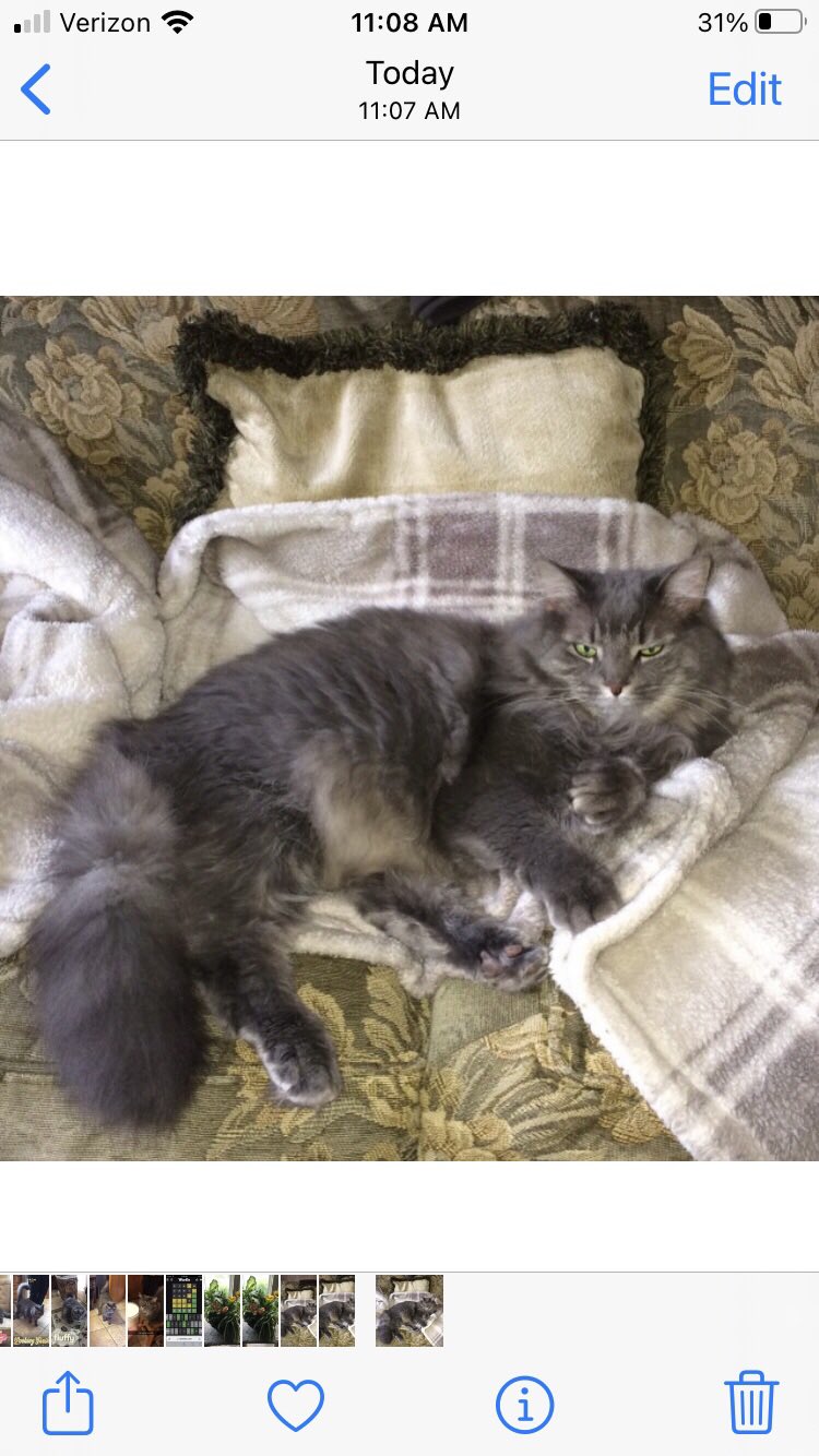 Susan Rudin on Twitter: