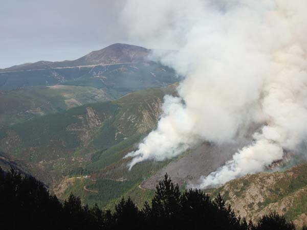 La Rioja amplía las restricciones por alto riesgo de incendios y prohíbe el uso de fuego en los desbroces y la circulación de vehículos por montes de utilidad pública - is.gd/elXDoD