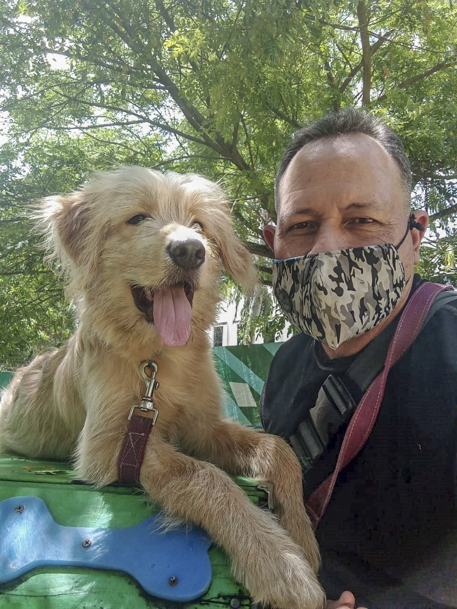 vodkcan's tweet photo. Bienvenido Toby, mestizo de Golden Retriever con Mucuchies a su adiestramiento básico 🐶

#PerroMestizo #PerritoMestizo #GoldenRetriever #Mucuchies #PerroMucuchies #PerroPastorAleman #AdiestramientoCanino  #EducaciónCanina  #ObedienciaCanina #VodkcanEscuelaCanina https://t.co/PBdBMDummM