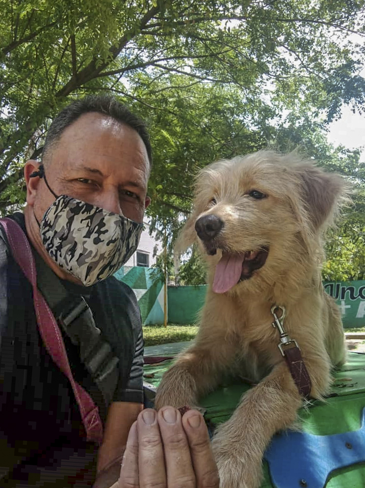 vodkcan's tweet photo. Bienvenido Toby, mestizo de Golden Retriever con Mucuchies a su adiestramiento básico 🐶

#PerroMestizo #PerritoMestizo #GoldenRetriever #Mucuchies #PerroMucuchies #PerroPastorAleman #AdiestramientoCanino  #EducaciónCanina  #ObedienciaCanina #VodkcanEscuelaCanina https://t.co/PBdBMDummM