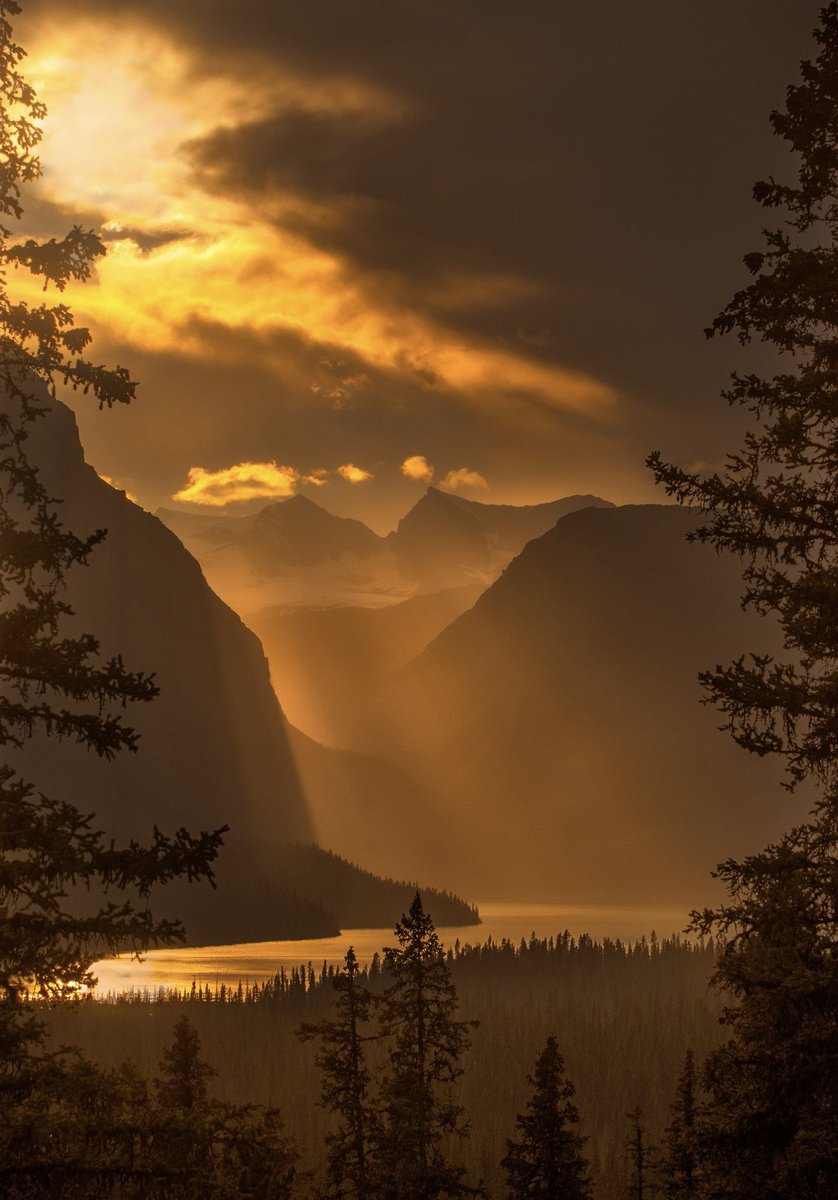 Nature Space (@naturespace_) on Twitter photo 