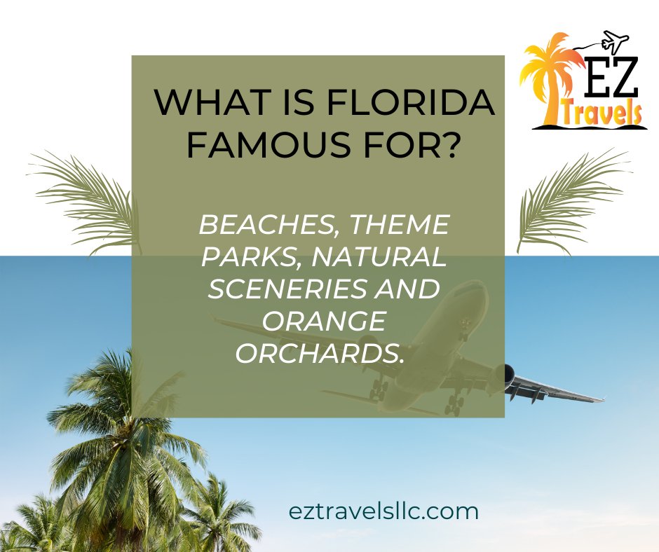 What is Florida famous for?
Florida is famous for its Beaches, Theme Parks, Natural Sceneries and Orange Orchards.
🌐bit.ly/3HbqecX

#eztravelsllc #TourismActivities #TravelGuidelines #travelagency #EducationalBenefits #Worldtravel #Life #humans #love #CheapFlightTickets