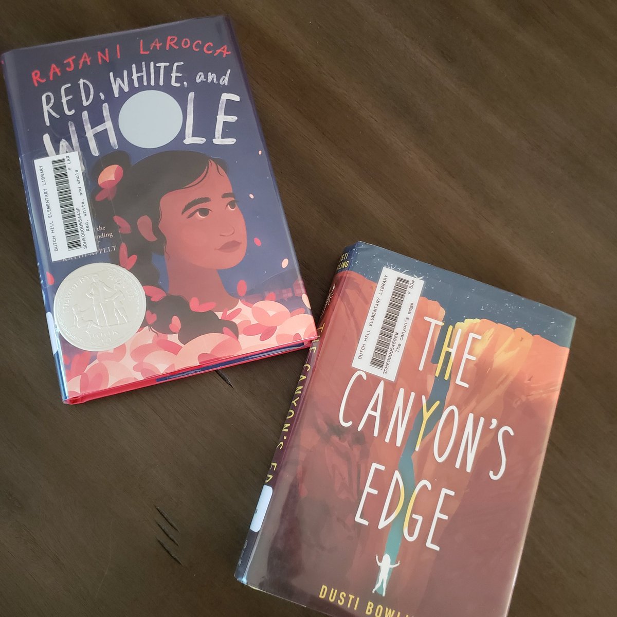 Two #NovelsInVerse this week. Red, White, and Whole and The Canyon's Edge. Both gripping,  original and so heart rending. I am in awe of how @rajanilarocca and @DustiBowling can express such emotion and tell such great stories in verse #MGBook #LibrarianTwitter