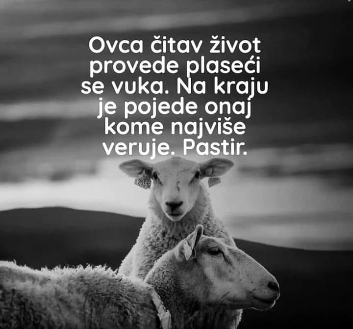 bogdanka rakic (@bogdanka_rakic) on Twitter photo 