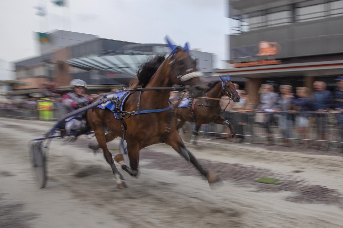 Burgemeester grijpt in: sloop Makado middag stilleggen om Schager draverij door te laten gaan. ’Schager korte baan is traditie van ruim 135 jaar’ dlvr.it/SVD7q2