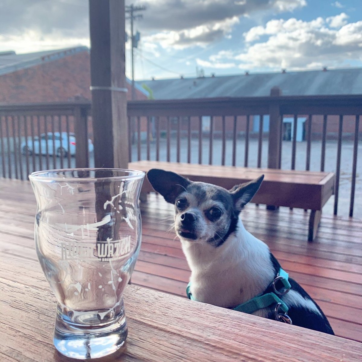 From when you first walk in the door to your very last sip, you can count on our team to make your visit to our brewery a great one.