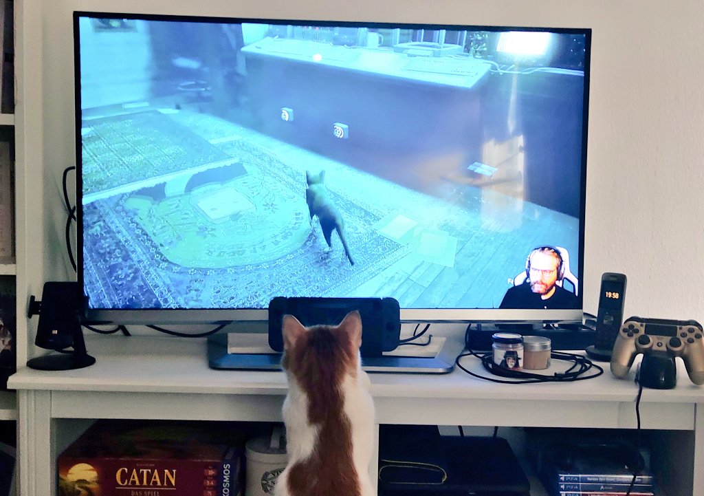 _Miss_Fay_'s tweet photo. @Gronkh ist "cat approved"! 😸 https://t.co/TH0yKMJ8si