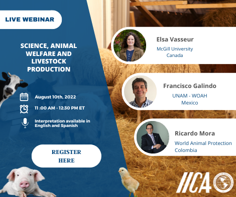 iica_canada's tweet photo. 🐮Join Us!! This webinar will share with stakeholders in the livestock industry science-based strategies and global experiences to improve #AnimalWelfare in livestock farms.🐷🐥

🗓️ August 10th, 2022
⏰ 11:00 a.m. to 12:30 p.m. EST

Register here 👉https://t.co/3myh5v2mLT https://t.co/9zM4veEvin