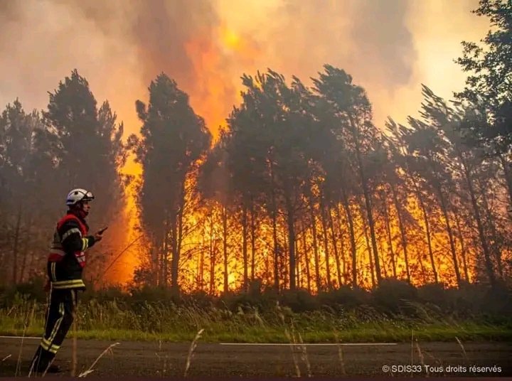 Il y a urgence à agir pour nous adapter au dérèglement climatique et pour essayer de l’atténuer le plus possible. Hugo Clément. #IntactForests #ClimateEmergency #Climat #climate