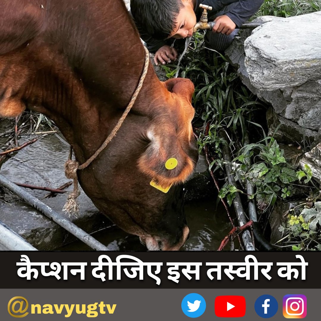 navyug_tv's tweet photo. इस तस्वीर को क्या कैप्शन देंगे आप
#caption #water #needcaption #BREAKING #BreakingNews #TrendingNow #Trending #HindiNews #Hindi #Navyugtv https://t.co/vzRrgtldBC
