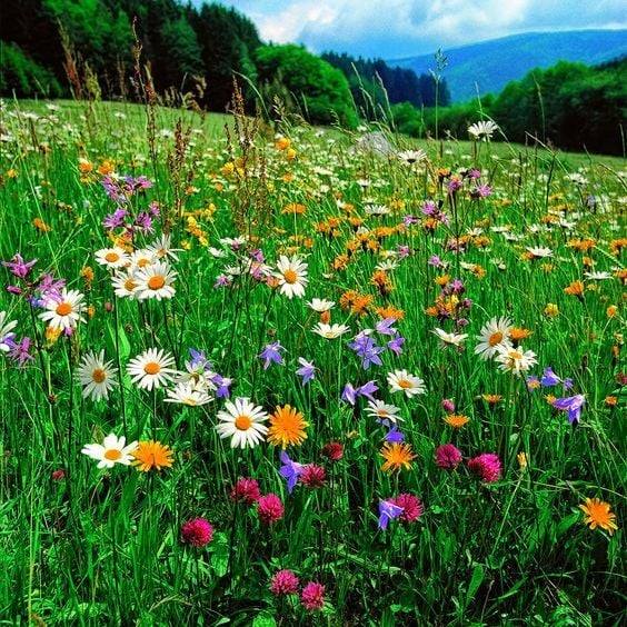 bogdanka rakic (@bogdanka_rakic) on Twitter photo 