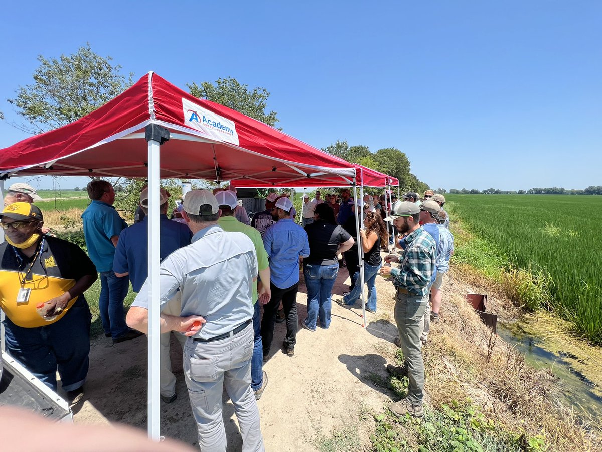 ARCrops's tweet photo. The tour continues to the Pratt Farms in Light, Arkansas. This @ARDiscoveryFarm has both #RowRice and levee rice. https://t.co/w9QOxWz15u