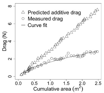 How can #Nereocystis #kelp grow so big in fast flow? New #biomechanics paper by @BabyNereo shows #morphology matters! Each new #seaweed blade adds less drag than the last, truly "less than the sum of its parts" doi.org/10.1111/jpy.13… <a href="/JPhycology/">Journal of Phycology</a> <a href="/PSAAlgae/">Phyc. Soc. America</a> <a href="/UBCBotany/">UBC Botany</a> <a href="/UBCoceans/">UBC Oceans (also found at ubcoceans.bsky.social)</a>