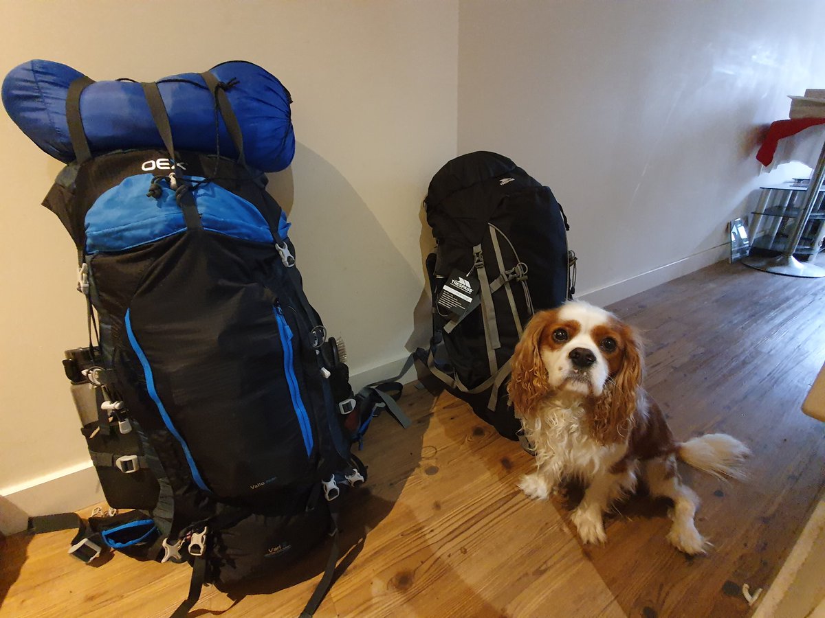 RJonTourUK's tweet image. Travelling with a dog can be fantastic fun, however there are some inconveniences on the way depending on your journey.
rjontour.com/travelling-wit… #DogsofTwittter #dogsarefamily #creativebizhour
