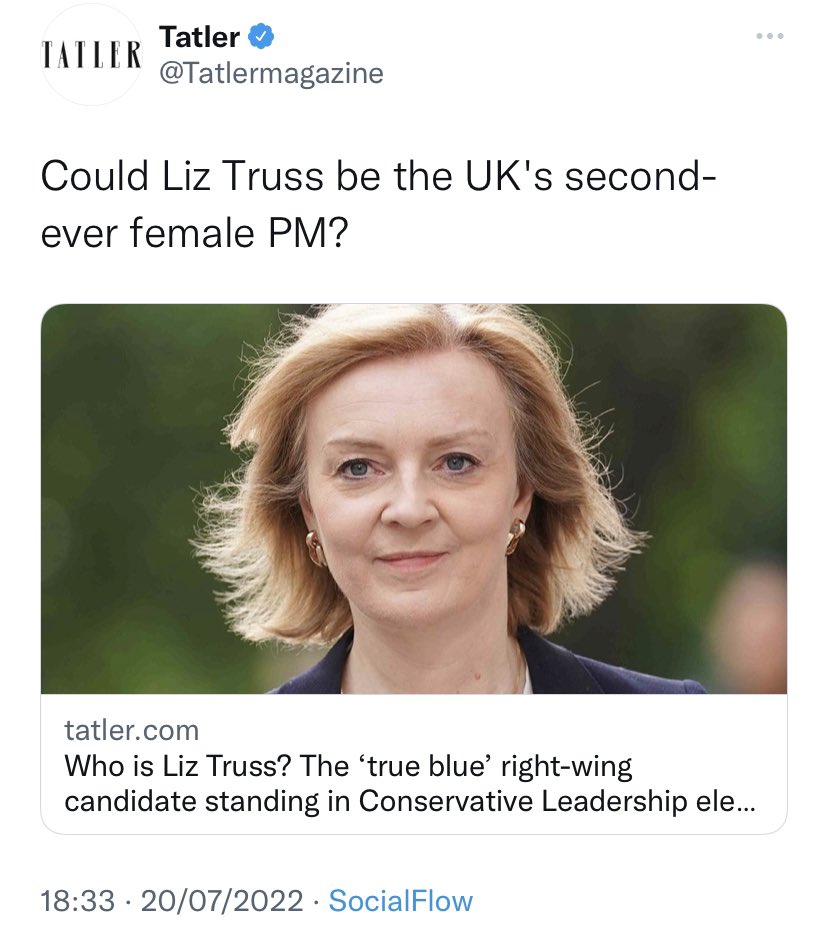 Tatler’s social media person arrives home and starts cooking their dinner, smiling at their productive day on Twitter. As they reach for an onion, a small frown appears on their face. With their pasta water bubbling away they suddenly scream “FUCK! WE FORGOT ABOUT THERESA MAY!”