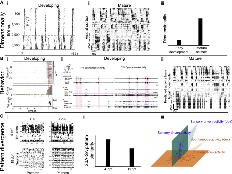 Lilach Avitan (@lilachavitan) on Twitter photo Recently revealed properties of spontaneous activity in sensory areas suggest a new functional role. What is this activity for? We looked across species and development for answers with <a href="/computingnature/">Carsen Stringer @Computingnature@neuromatch.social</a> in <a href="/NeuroCellPress/">Neuron</a> 🐭🐟🤠🪰: authors.elsevier.com/sd/article/S08…
<a href="/ELSCbrain/">ELSC Brain</a> Recently revealed properties of spontaneous activity in sensory areas suggest a new functional role. What is this activity for? We looked across species and development for answers with <a href="/computingnature/">Carsen Stringer @Computingnature@neuromatch.social</a> in <a href="/NeuroCellPress/">Neuron</a> 🐭🐟🤠🪰: authors.elsevier.com/sd/article/S08…
<a href="/ELSCbrain/">ELSC Brain</a>