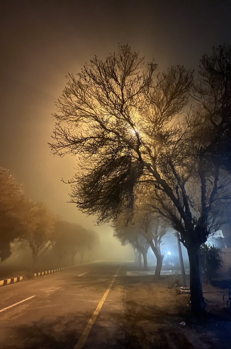 TColorbox's tweet image. 3 hours remain in the auction!

'Enchanted 01' and 'Colors of the sun 01'
Photography on @exchgART
 
Starting bid ◎ 1

exchange.art/artists/TheCol…