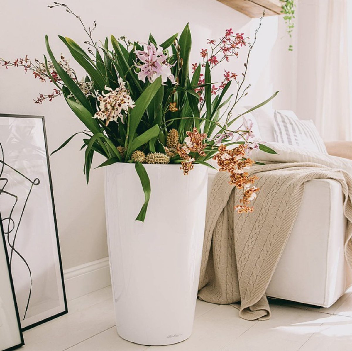 Bright, light, and COZY! #designinspo

Shop this dreamy planter here: bit.ly/2Mk4cwY