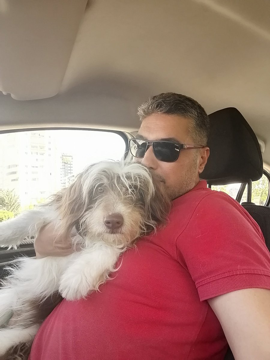 #HayvanÜretimiYasaklansın diyoruz Nedenmi?Bakın bu Çocuğu Barınaktan aldım daha 2 gün önce,Altındağdan, Ayaştan, Esattan..O gün 5 Terkedilmiş IRK Köpek İhbarı daha vardı,Üretim ve Satış Bitmezse Sokak Hayvanları sorunu bitmez. <a href="/gulbintosun/">gulbin tosun</a> <a href="/lsdomicim/">Leman Sam</a> <a href="/CanpolatDuygu/">Duygu</a> <a href="/GERCKDOSTLAR/">Gülgün Tuna</a>