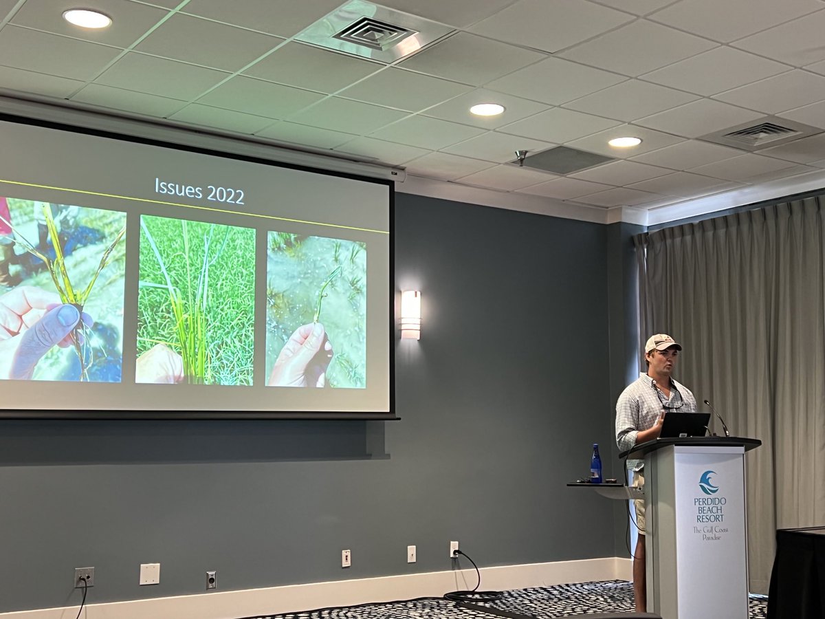 MSU Extension Rice Specialist Hunter Bowman presenting @ MS Ag Industry Council today. He’s the newest member of our Agronomic Crops Specialists. Welcome, Dr. Bowman. #MSUext