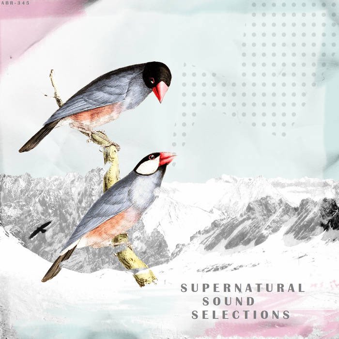 Independent Music Sampler #129 

thealdorabritainrecords.bandcamp.com/album/supernat…

<a href="/MudBayBluesBand/">Mud Bay - Canada's Band That Won't Go Away</a> <a href="/trambeat/">Trambeat</a> @AmoebaTeen @StirBig <a href="/juniorbonesband/">Junior Bones</a> <a href="/JoeSymesandTLK/">Joe Symes & The Loving Kind</a> <a href="/Bang_records/">Bang! records</a> <a href="/UnDebuttante/">Sargassi</a> <a href="/DARKS0FT/">Darksoft</a> @carolkeogh @CatGoneCrazy