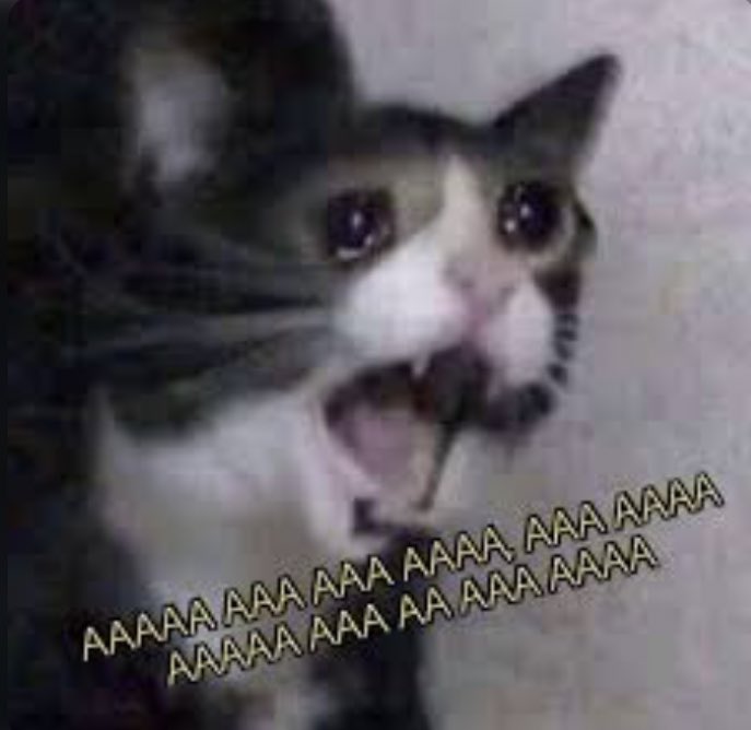 raoul grabando ,,,,, CHILLO