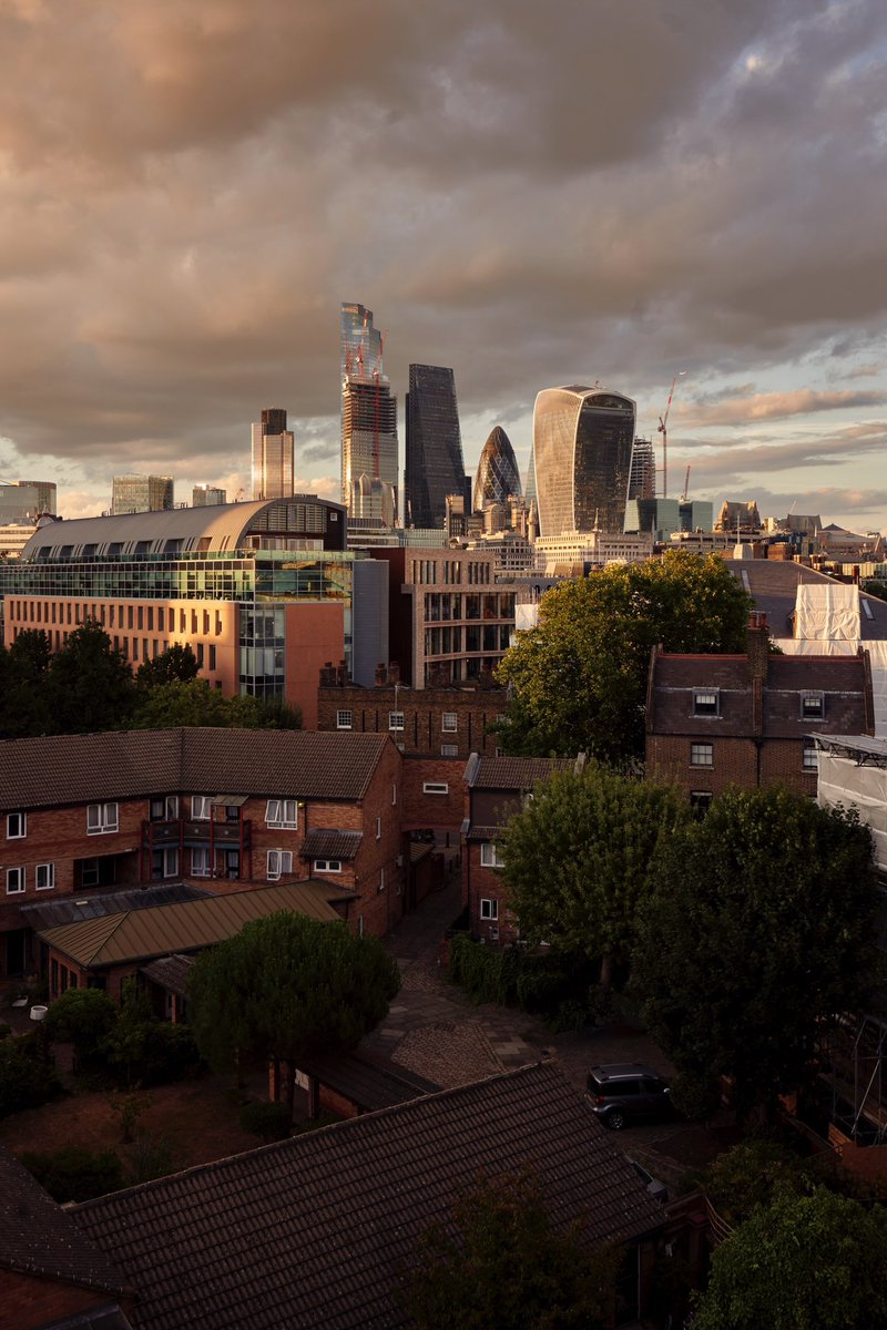 Ron Timehin tweet media