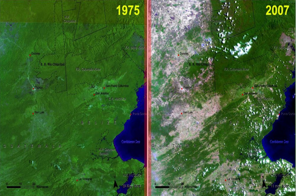 Deforestation differences between Belize and Guatemala create a straight line along their border visible from space