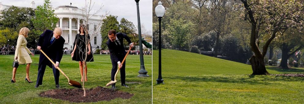 FredSLN's tweet photo. Souviens-toi…
La dernière fois que #CaptainSmith Macron a planté un arbre, ce dernier avait disparu qqs jours après 😂

C’est le même mec qui veut replanter la forêt des Landes. 

#MacronNousPrendPourDesCons #MacronMcKinsey #MacronUber #Uber #UberFiles #UberGate https://t.co/RFJ3vmhHLP