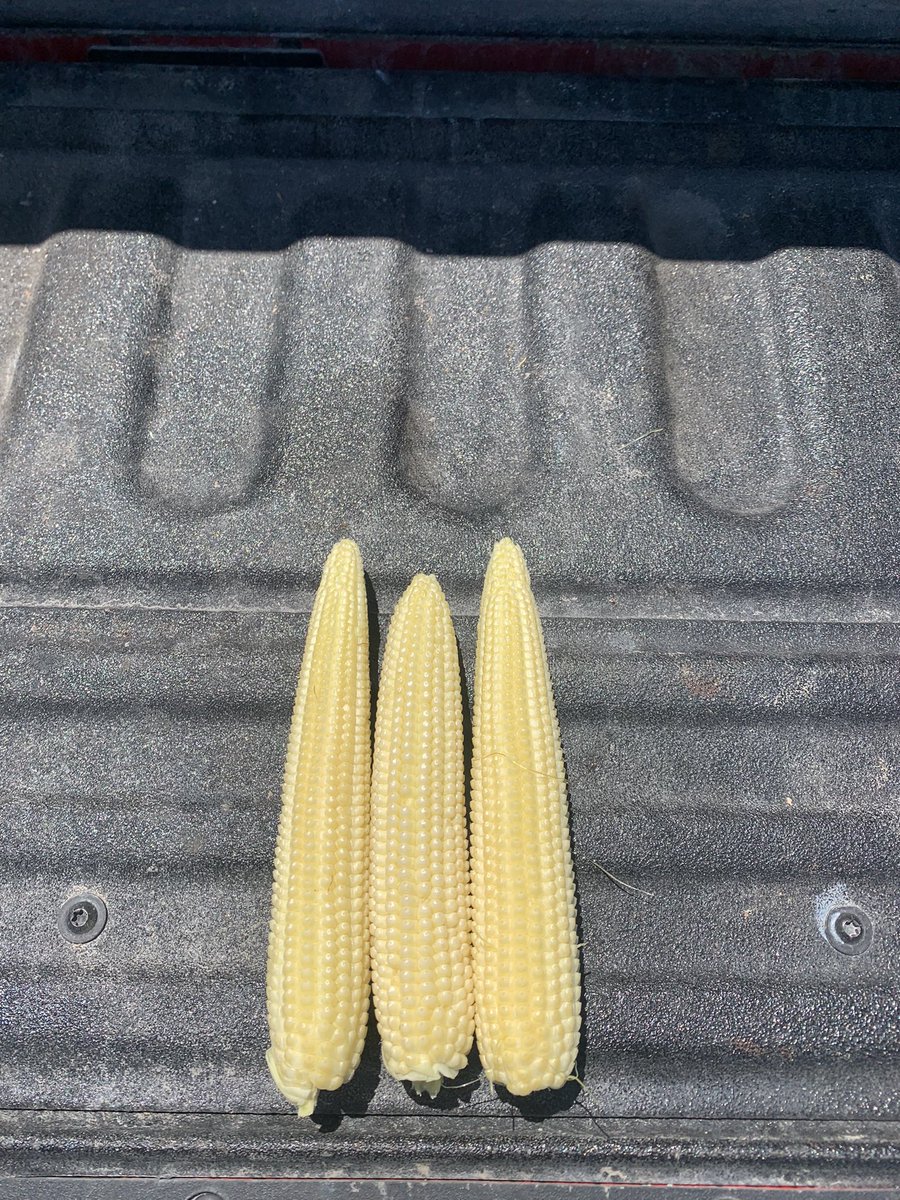 Jon Strickler tweet media