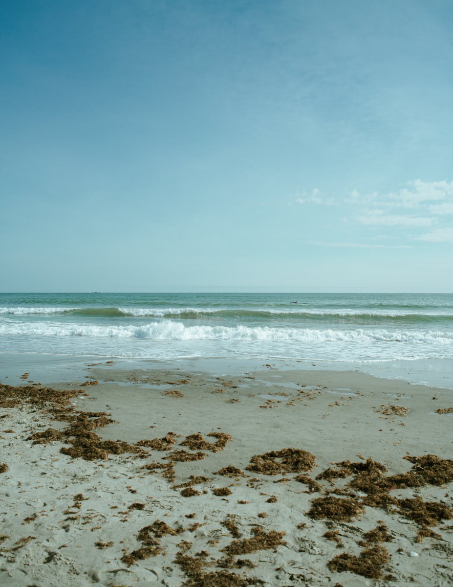 new prices for my collection "the sea i see" 

photographs ranging from .028 to .06ETH

opensea.io/collection/the…