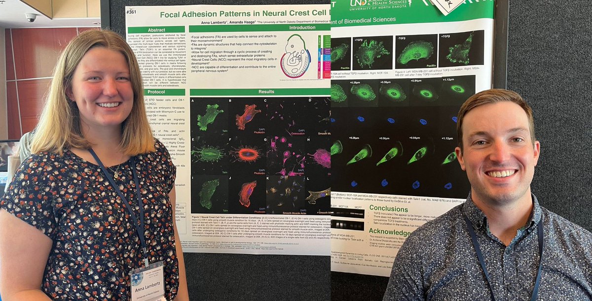 mandy_ridd's tweet photo. So proud of the Haage lab representation at #2022SDB
First international poster presentations for our work on cell-ECM adhesion in EMT and for these undergrad researchers! #UNDPround @UNDSMHS https://t.co/627DLCkaP1