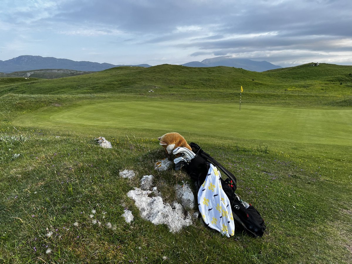Durness Golf Club tweet media