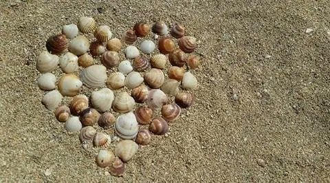 DTNEtiquette's tweet photo. Be humble, be kind, be real...~ #DTN #notime4fake https://t.co/PdKCPlVmaB