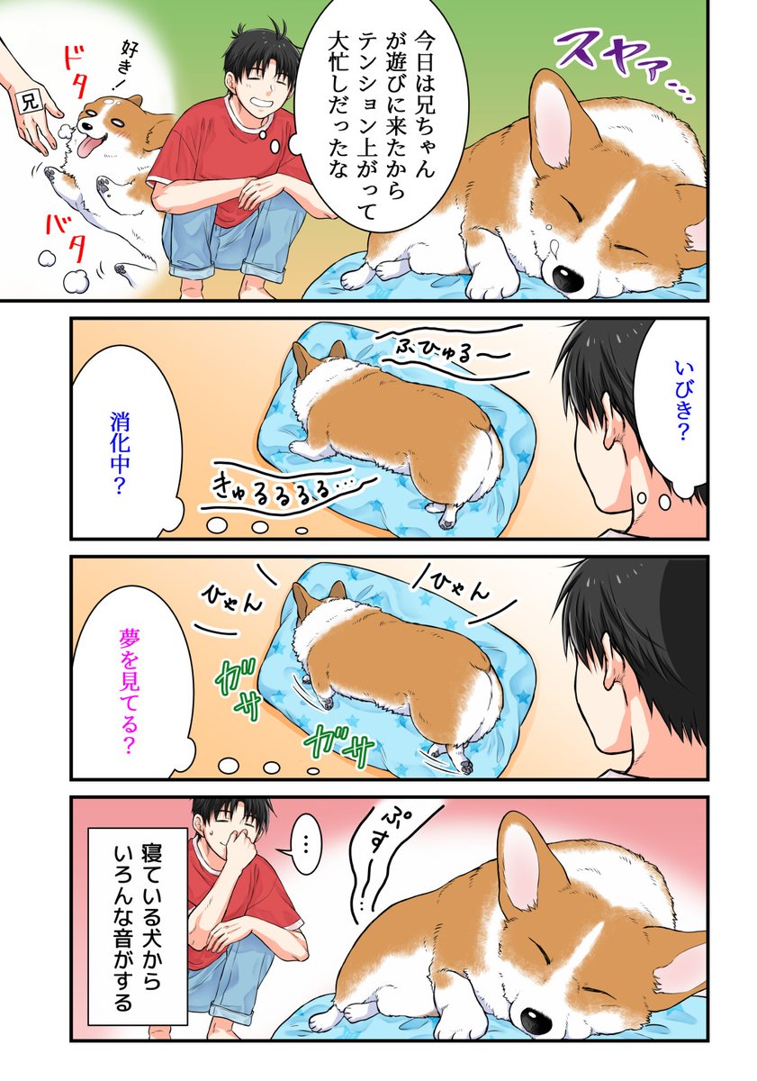 寝ている間も忙しいうちの犬 