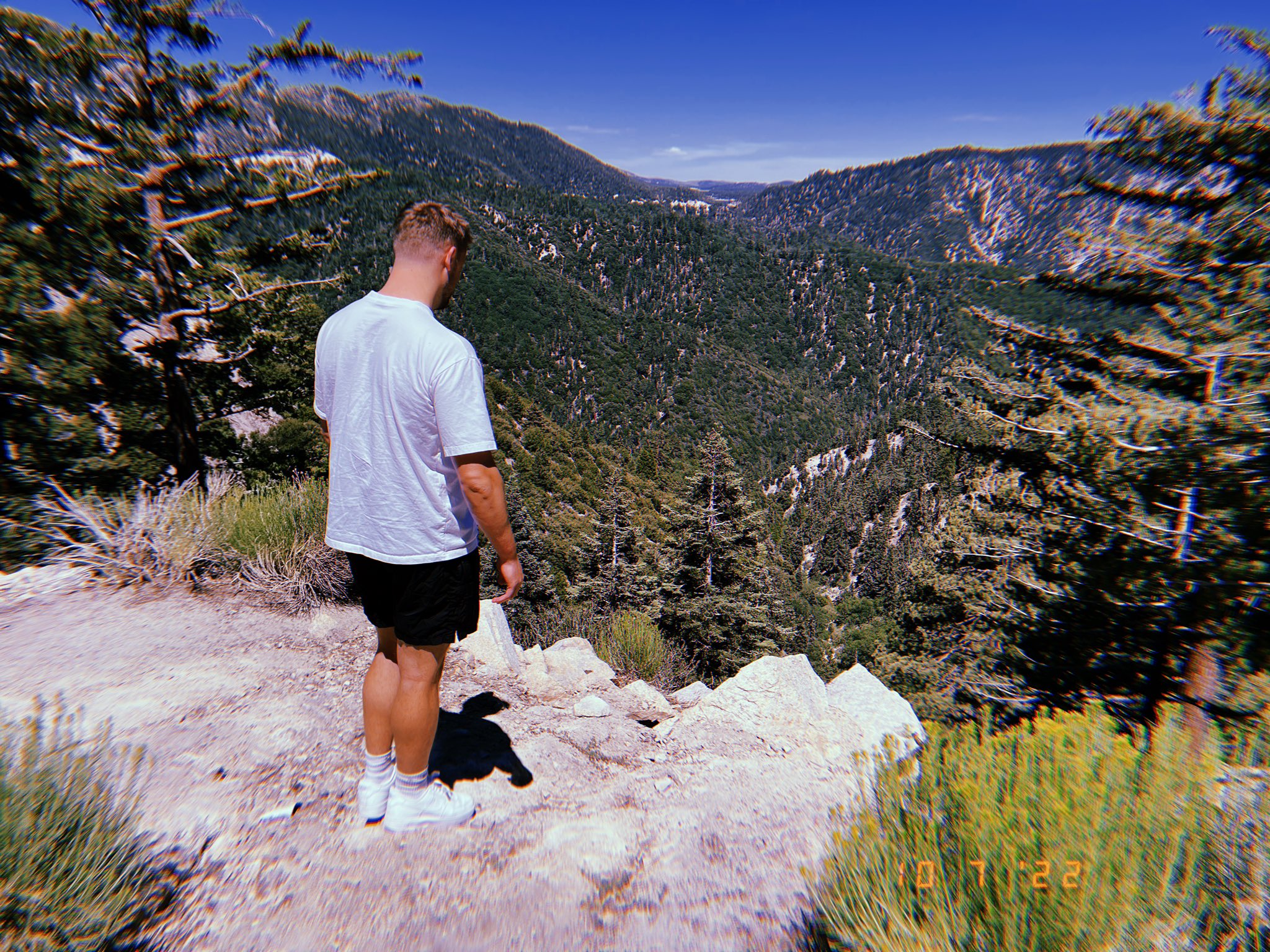 Harry on Twitter: “https://t.co/WD8pbZZFvb” / Twitter